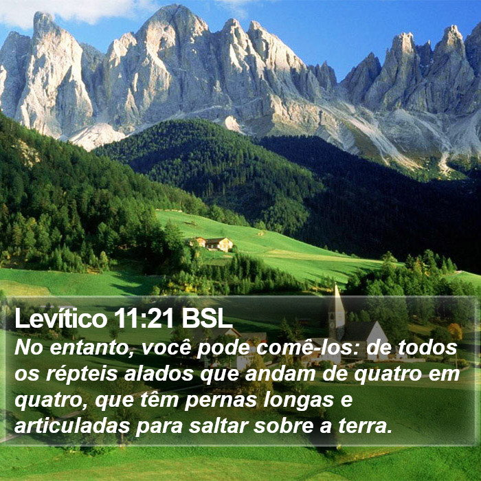 Levítico 11:21 BSL Bible Study