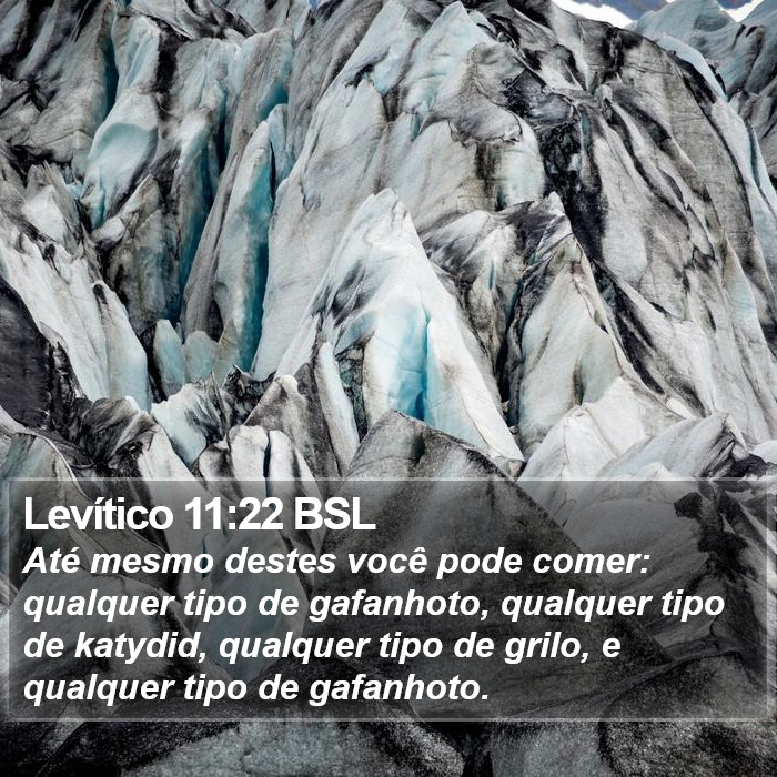 Levítico 11:22 BSL Bible Study