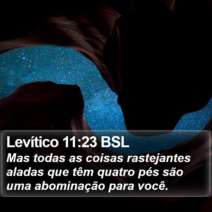 Levítico 11:23 BSL Bible Study