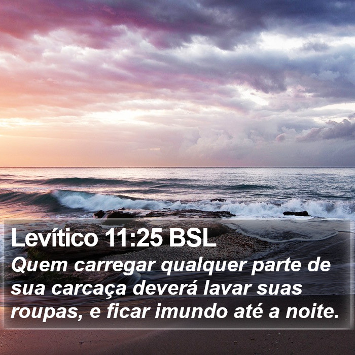 Levítico 11:25 BSL Bible Study