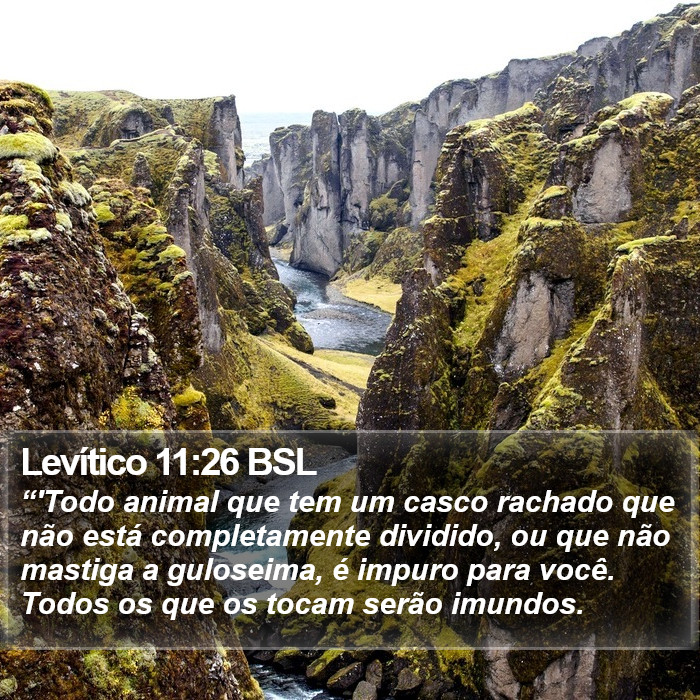 Levítico 11:26 BSL Bible Study