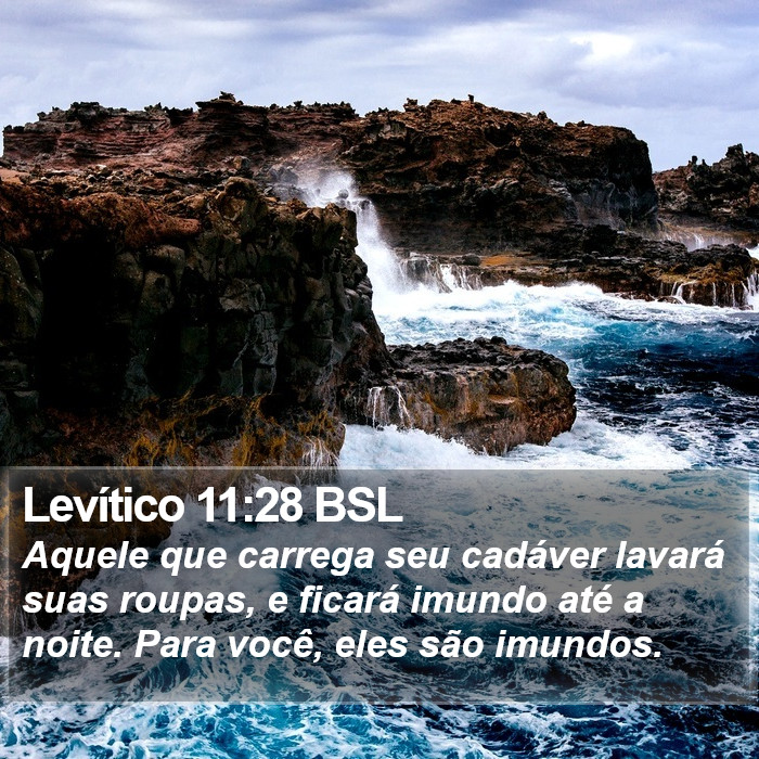 Levítico 11:28 BSL Bible Study