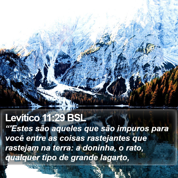 Levítico 11:29 BSL Bible Study