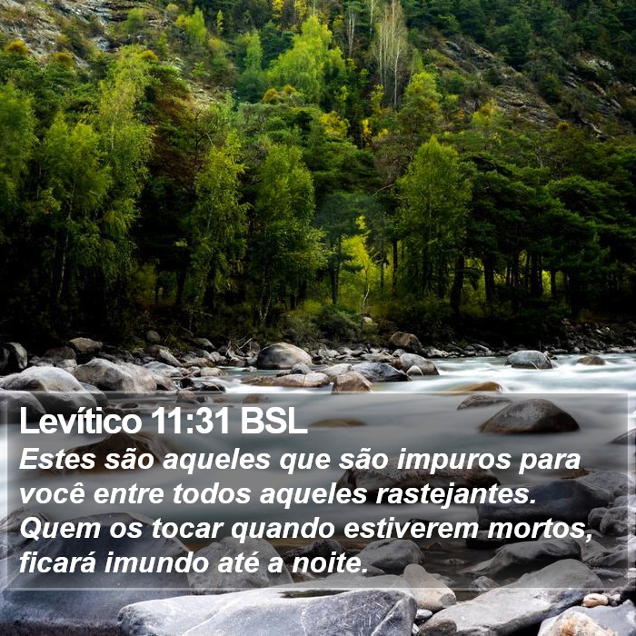 Levítico 11:31 BSL Bible Study