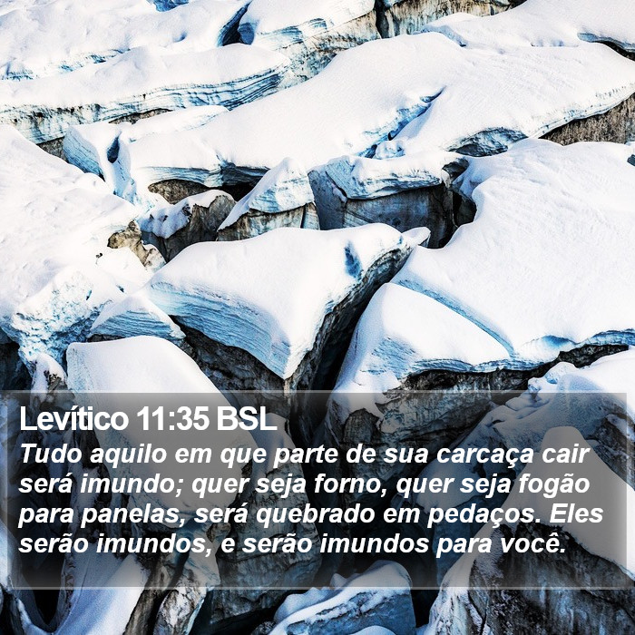 Levítico 11:35 BSL Bible Study