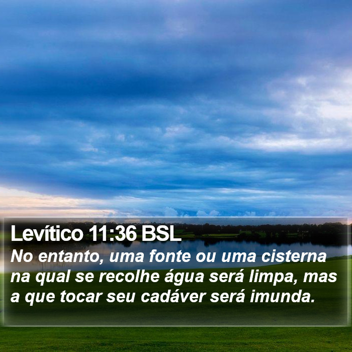 Levítico 11:36 BSL Bible Study