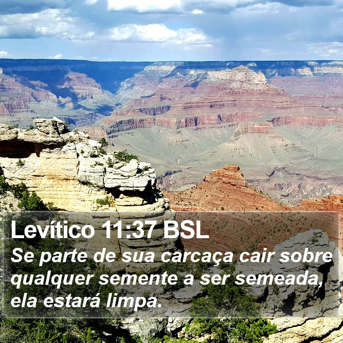 Levítico 11:37 BSL Bible Study