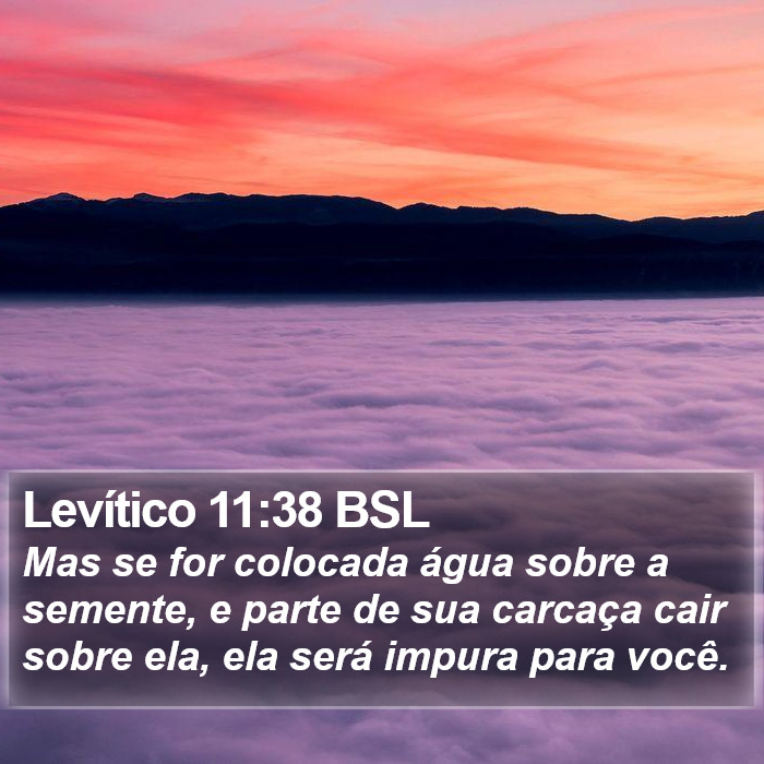 Levítico 11:38 BSL Bible Study