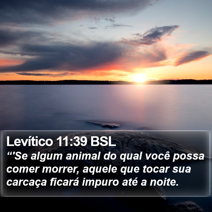 Levítico 11:39 BSL Bible Study