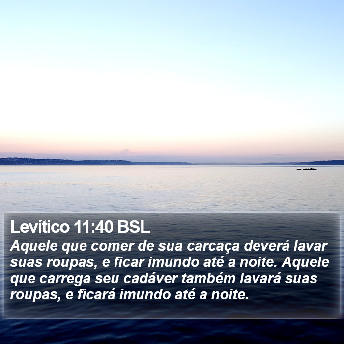 Levítico 11:40 BSL Bible Study