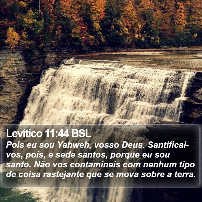 Levítico 11:44 BSL Bible Study