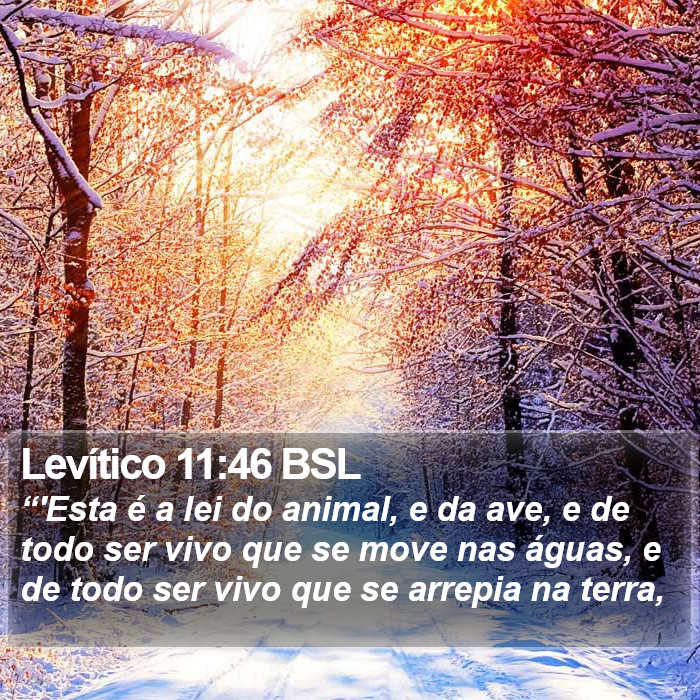 Levítico 11:46 BSL Bible Study