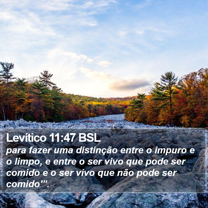 Levítico 11:47 BSL Bible Study