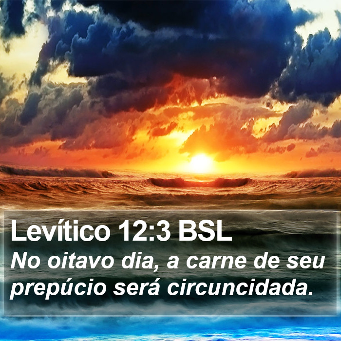 Levítico 12:3 BSL Bible Study