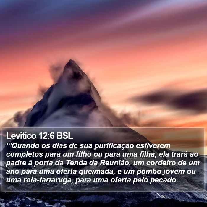 Levítico 12:6 BSL Bible Study