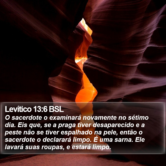 Levítico 13:6 BSL Bible Study