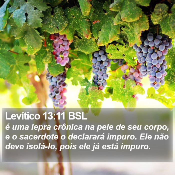 Levítico 13:11 BSL Bible Study