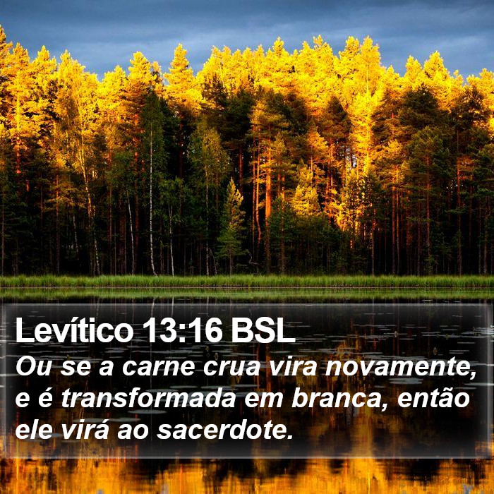 Levítico 13:16 BSL Bible Study