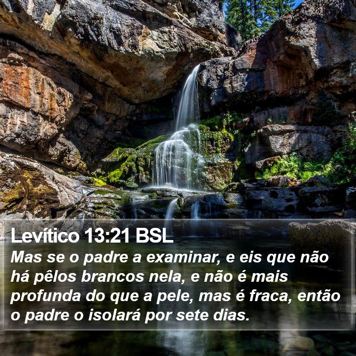 Levítico 13:21 BSL Bible Study