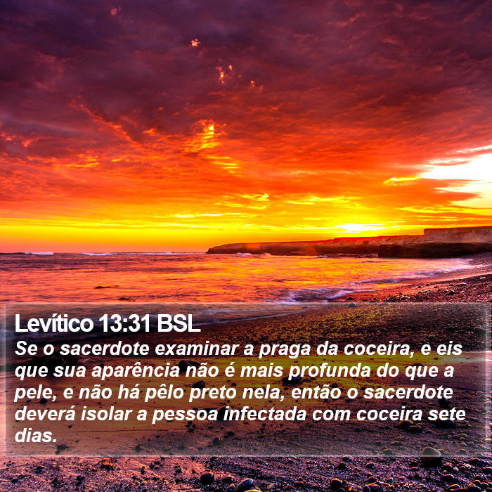 Levítico 13:31 BSL Bible Study