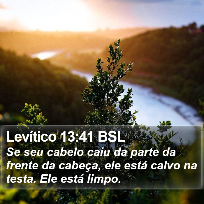 Levítico 13:41 BSL Bible Study