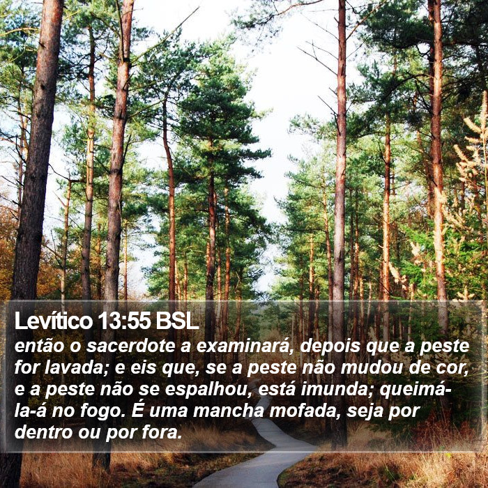 Levítico 13:55 BSL Bible Study