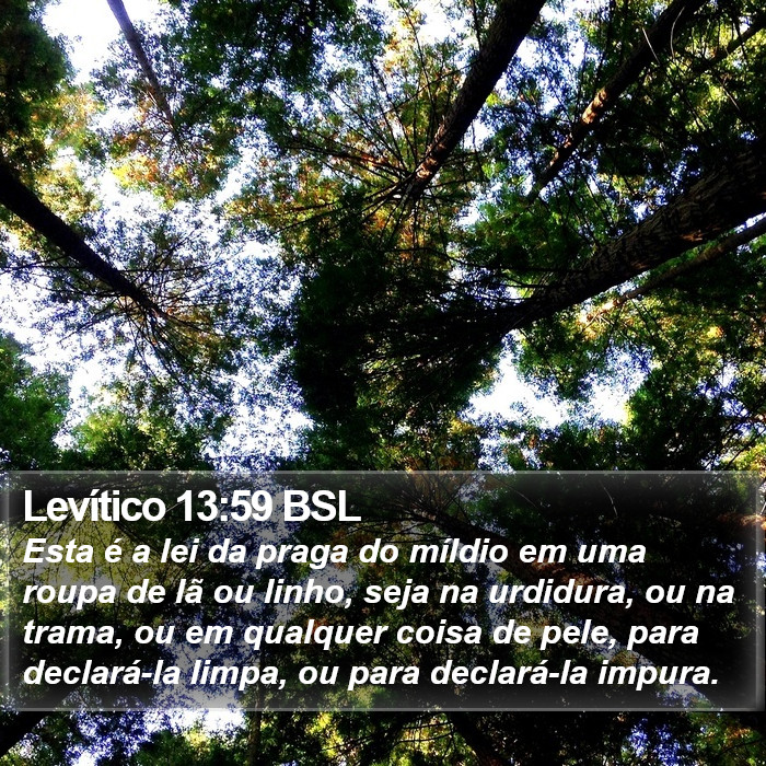 Levítico 13:59 BSL Bible Study