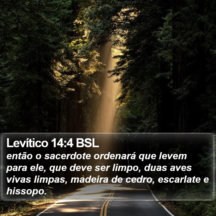 Levítico 14:4 BSL Bible Study