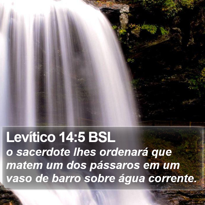 Levítico 14:5 BSL Bible Study