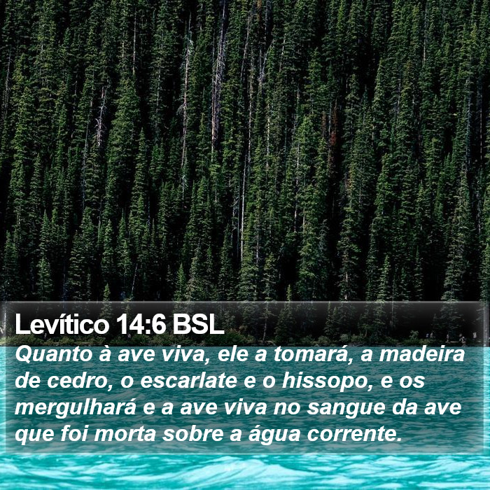 Levítico 14:6 BSL Bible Study