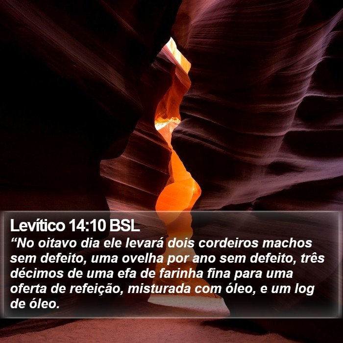 Levítico 14:10 BSL Bible Study