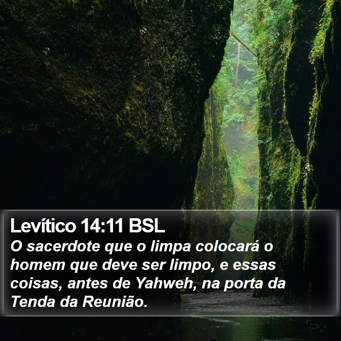 Levítico 14:11 BSL Bible Study