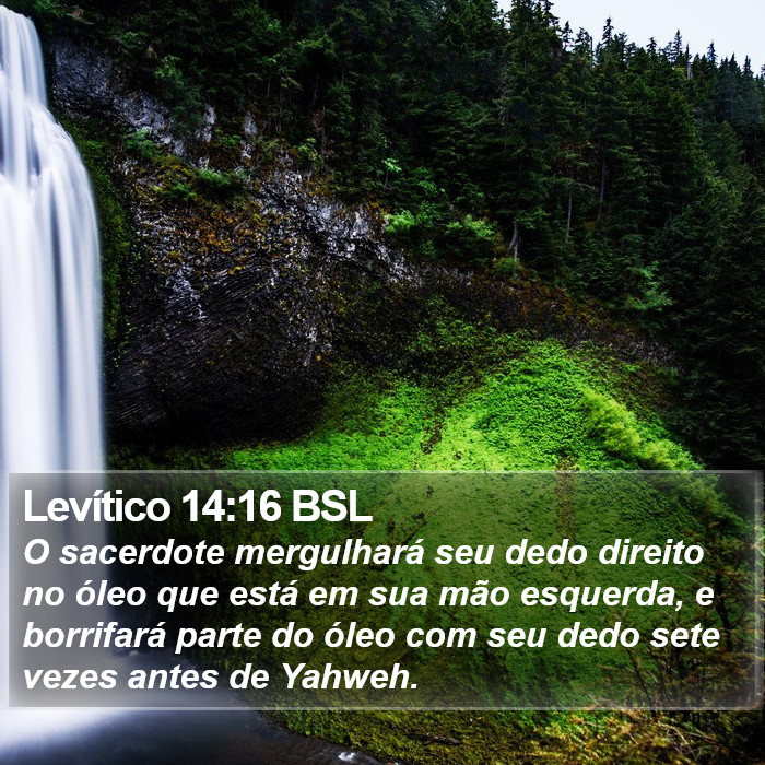 Levítico 14:16 BSL Bible Study