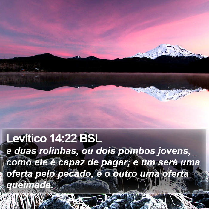 Levítico 14:22 BSL Bible Study