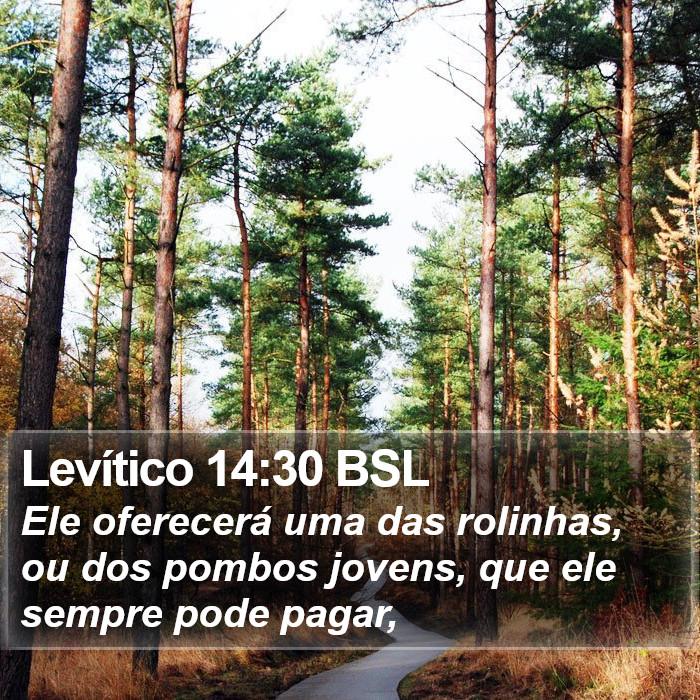 Levítico 14:30 BSL Bible Study