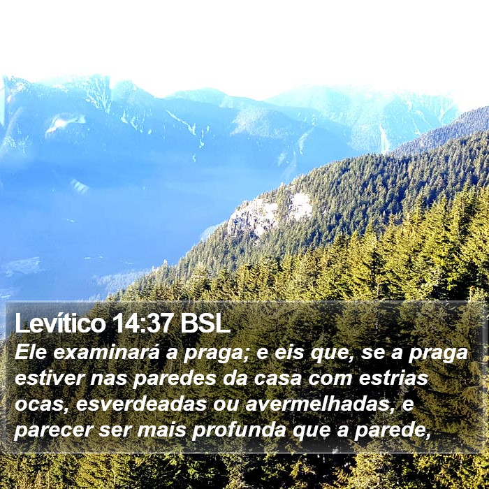 Levítico 14:37 BSL Bible Study