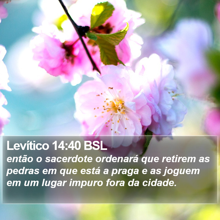 Levítico 14:40 BSL Bible Study