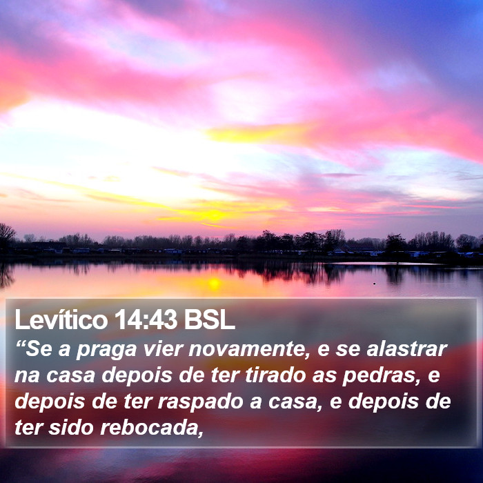 Levítico 14:43 BSL Bible Study