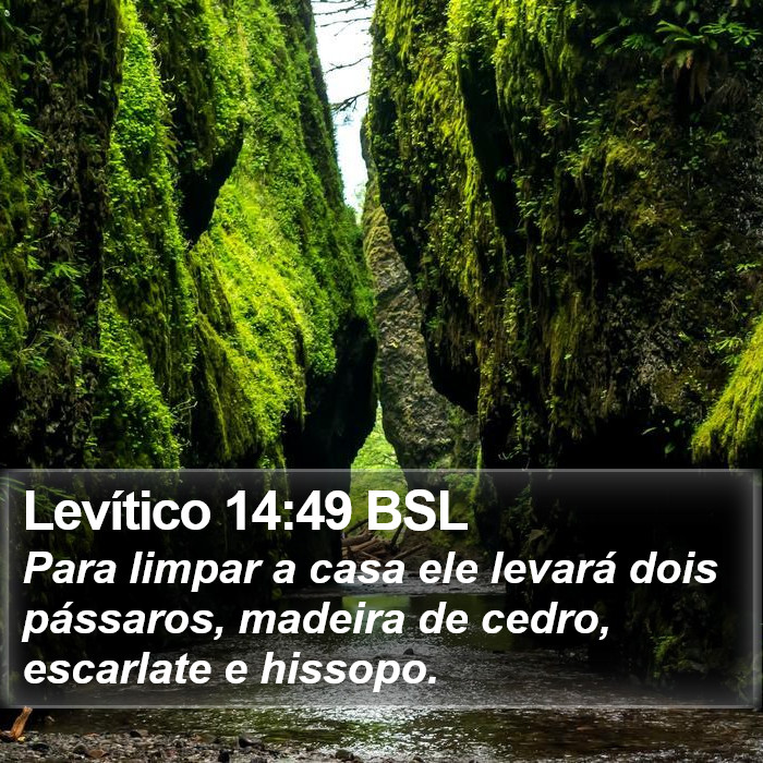 Levítico 14:49 BSL Bible Study