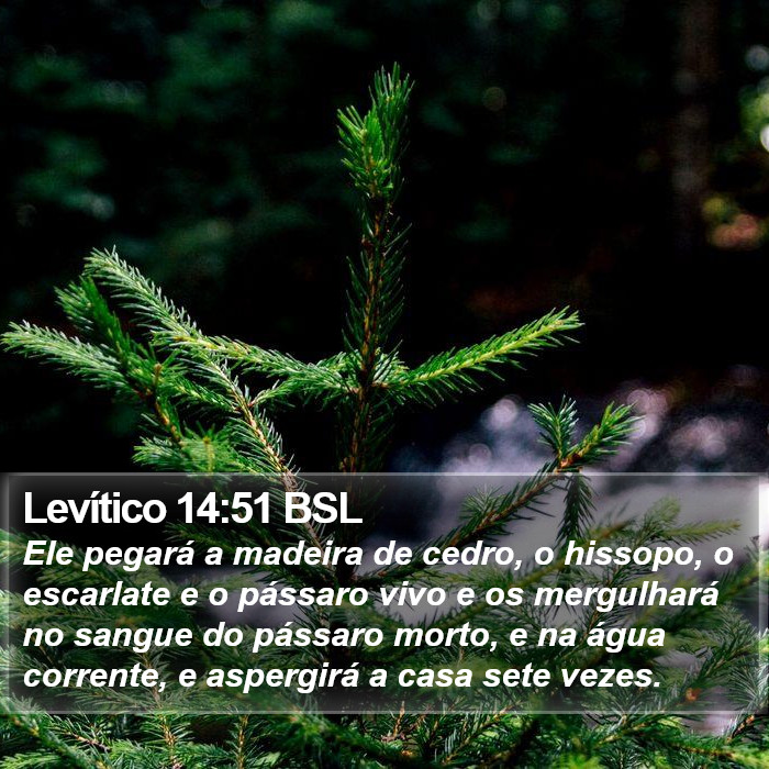 Levítico 14:51 BSL Bible Study