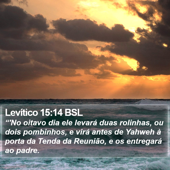 Levítico 15:14 BSL Bible Study