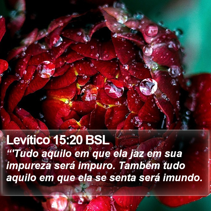 Levítico 15:20 BSL Bible Study