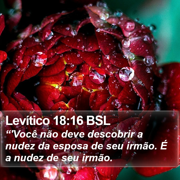 Levítico 18:16 BSL Bible Study