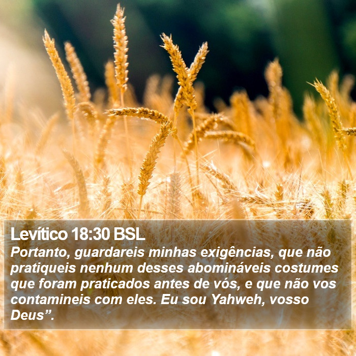 Levítico 18:30 BSL Bible Study