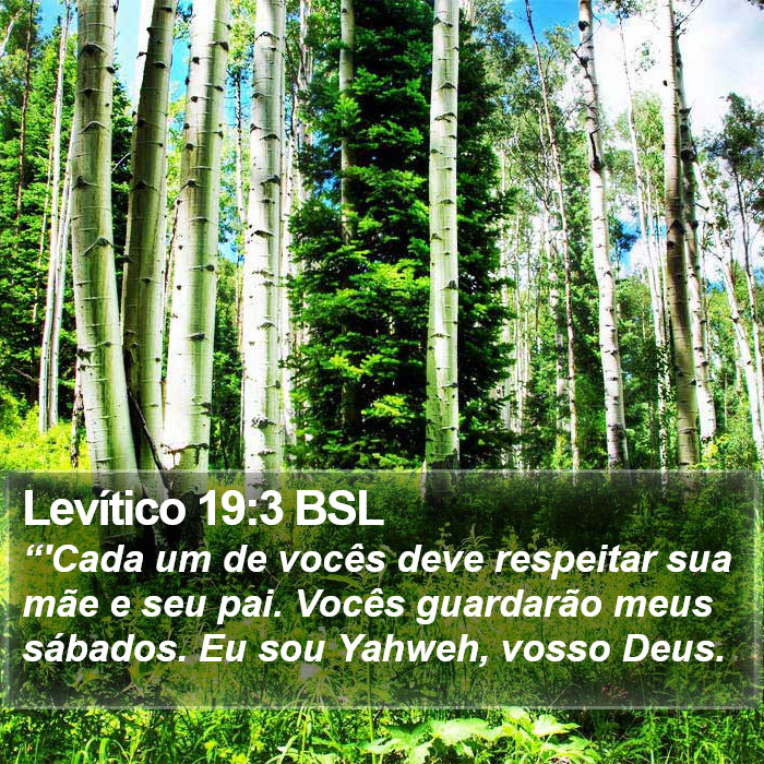 Levítico 19:3 BSL Bible Study