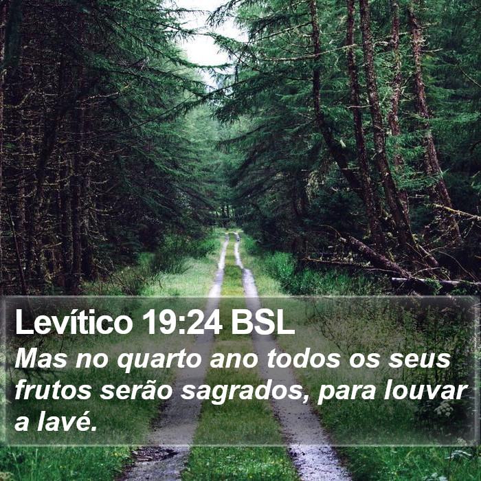 Levítico 19:24 BSL Bible Study