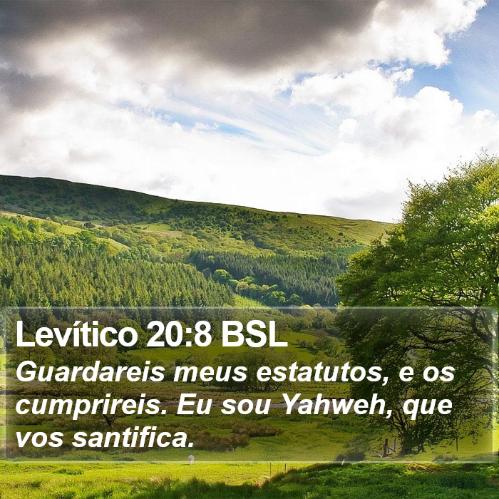 Levítico 20:8 BSL Bible Study