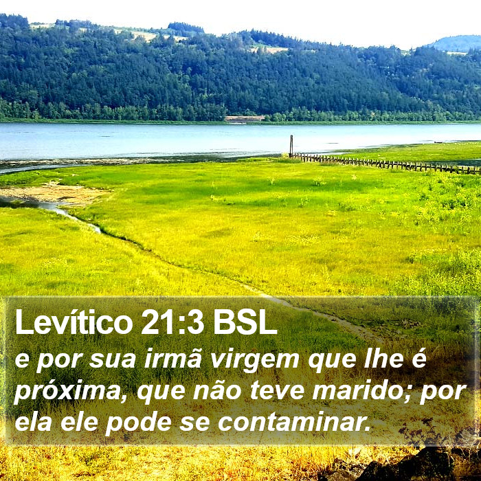 Levítico 21:3 BSL Bible Study