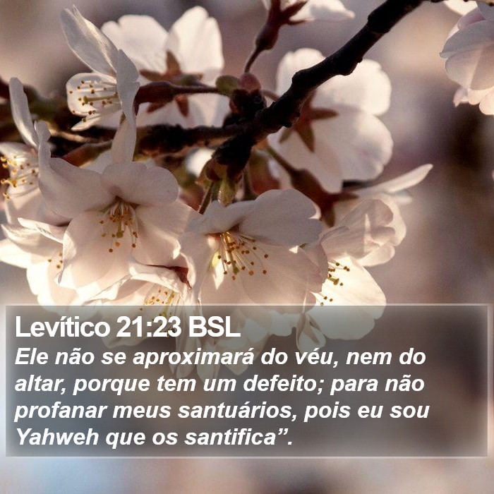 Levítico 21:23 BSL Bible Study
