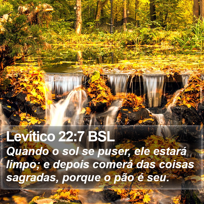 Levítico 22:7 BSL Bible Study